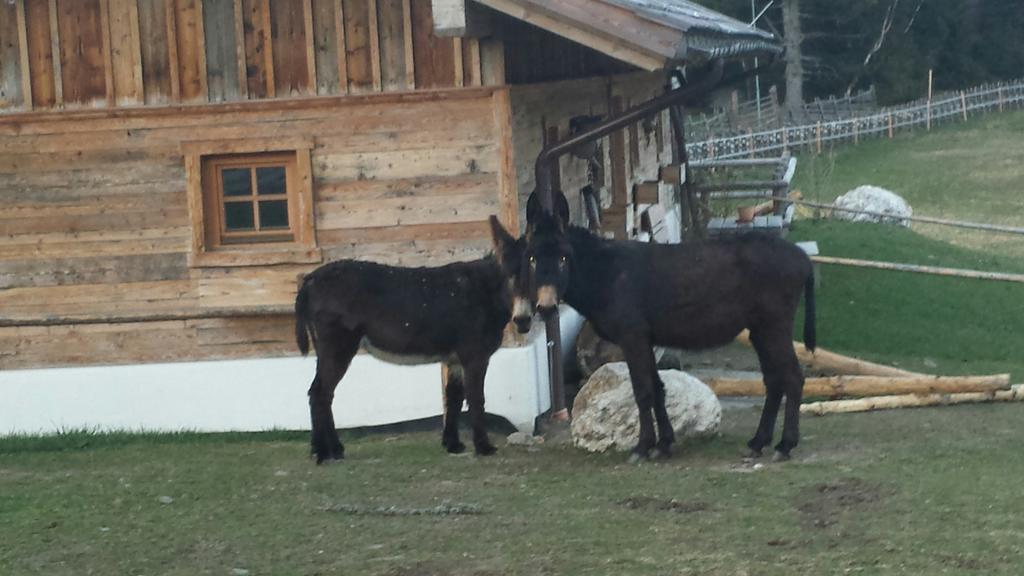 Villa Luef Mönichkirchen Dış mekan fotoğraf